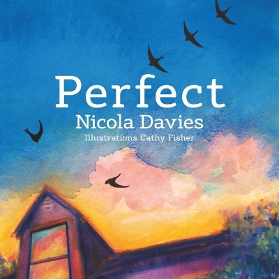 Book cover for Perfect