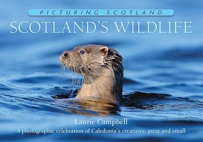 Cover of Scotland's Wildlife: Picturing Scotland