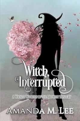 Book cover for Witch, Interrupted