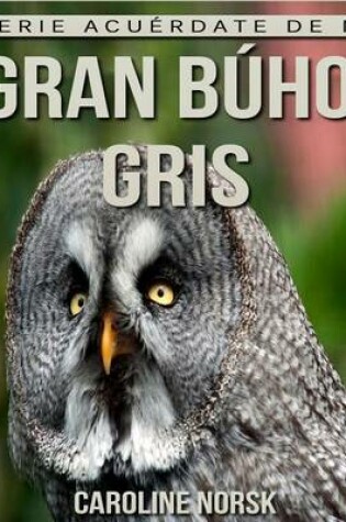 Cover of Gran buho gris
