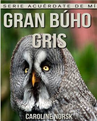 Book cover for Gran buho gris