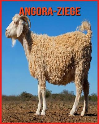 Book cover for Angora-Ziege