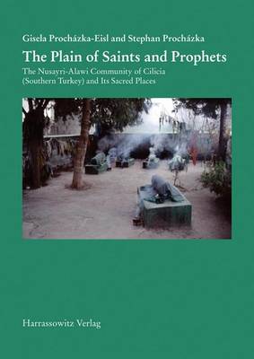 Cover of The Plain of Saints and Prophets