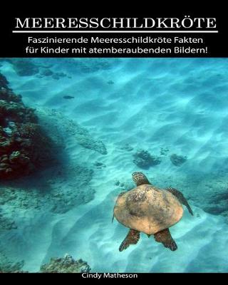 Book cover for Meeresschildkröte