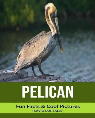 Book cover for Pelican