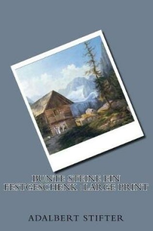 Cover of Bunte Steine Ein Festgeschenk