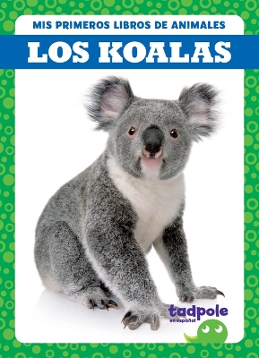 Book cover for Los Koalas (Koalas)