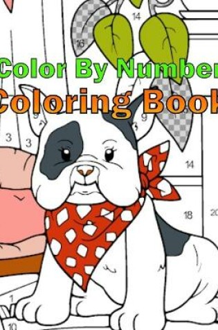 Cover of Color By Number Coloring Book