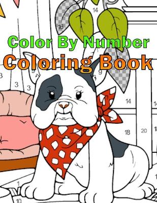 Book cover for Color By Number Coloring Book