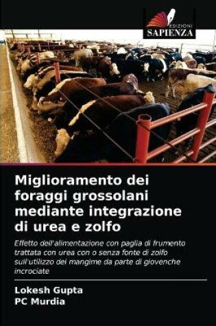 Cover of Miglioramento dei foraggi grossolani mediante integrazione di urea e zolfo