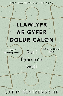 Book cover for Llawlyfr ar Gyfer Dolur Calon