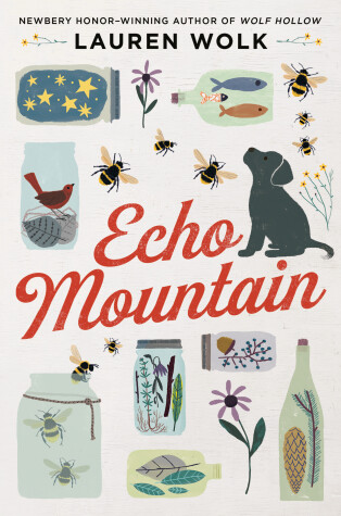 Book cover for Echo Mountain