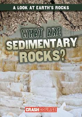 Book cover for What Are Sedimentary Rocks?