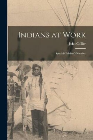 Cover of Indians at Work