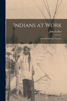 Book cover for Indians at Work