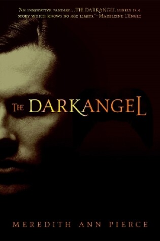 Cover of The Darkangel