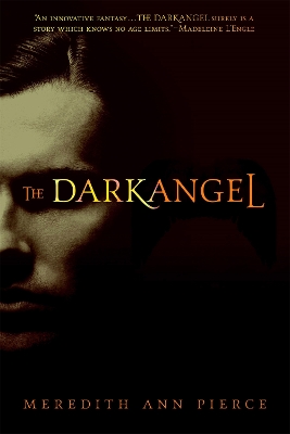 Book cover for The Darkangel