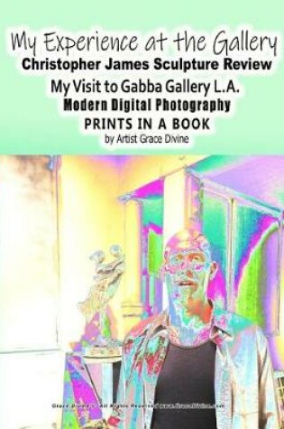 Cover of My Experience at the Gallery Christopher James Sculpture Review My Visit to Gabba Gallery L.A. Modern Digital Photography Prints in a Book by Artist Grace Divine