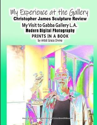 Book cover for My Experience at the Gallery Christopher James Sculpture Review My Visit to Gabba Gallery L.A. Modern Digital Photography Prints in a Book by Artist Grace Divine