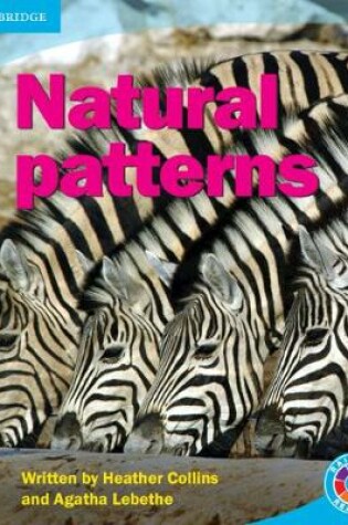 Cover of Natural Patterns