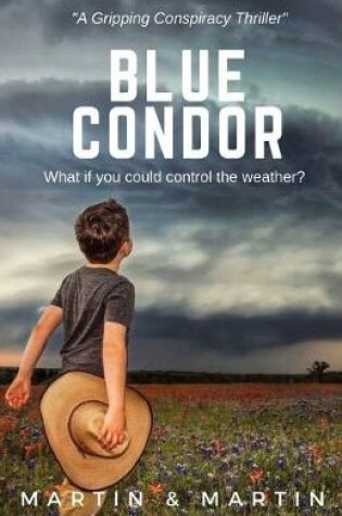 Cover of Blue Condor