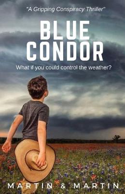 Book cover for Blue Condor