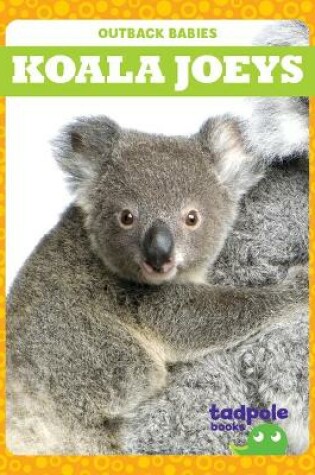 Cover of Koala Joeys
