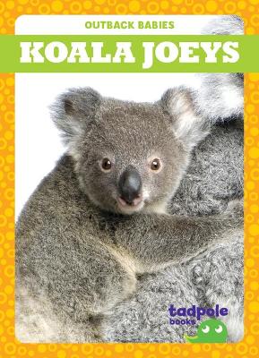 Book cover for Koala Joeys