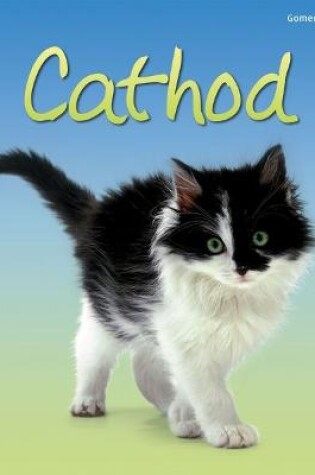 Cover of Cyfres Dechrau Da: Cathod