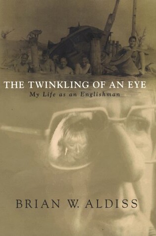 Cover of The Twinkling of an Eye