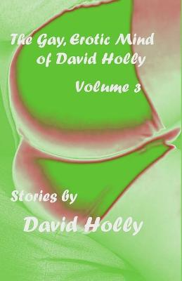 Book cover for The Gay, Erotic Mind of David Holly, Volume 3