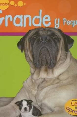 Cover of Grande Y Pequeño