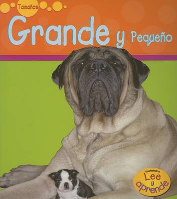 Book cover for Grande Y Pequeño