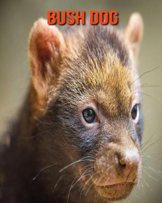 Book cover for Bush Dog