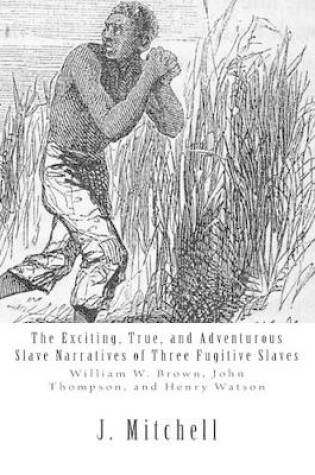 Cover of The Exciting, True, and Adventurous Slave Narratives of Three Fugitive Slaves