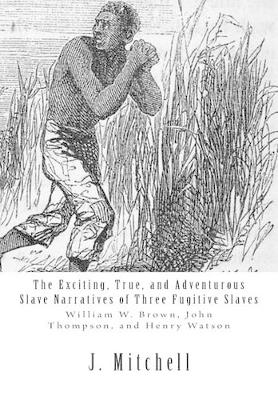 Book cover for The Exciting, True, and Adventurous Slave Narratives of Three Fugitive Slaves
