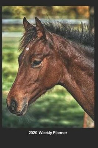 Cover of Plan On It 2020 Weekly Calendar Planner - I Love Horses