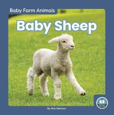 Book cover for Baby Sheep