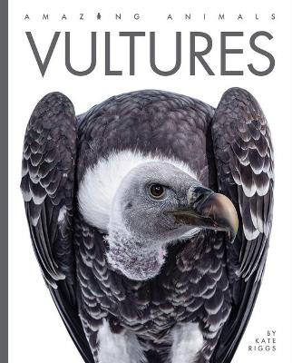 Book cover for Vultures