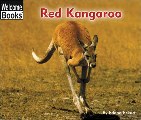 Book cover for Red Kangaroo