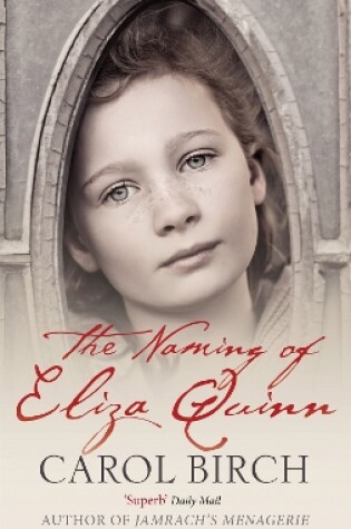 Cover of The Naming Of Eliza Quinn