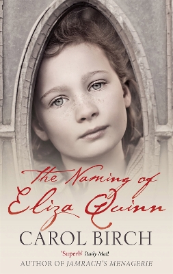 Book cover for The Naming Of Eliza Quinn