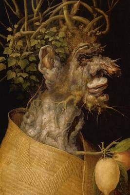 Book cover for Giuseppe Arcimboldo (Seasons) Winter