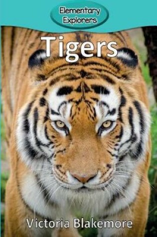 Cover of Tigers