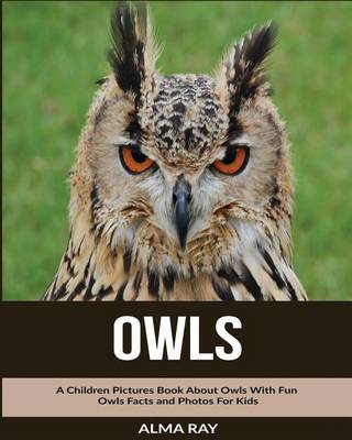 Book cover for Owls