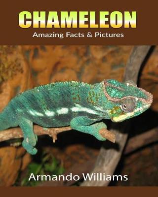 Book cover for Chameleon