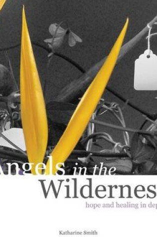 Cover of Angels in the Wilderness