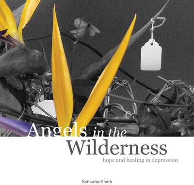 Book cover for Angels in the Wilderness