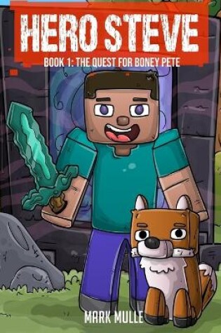 Cover of Hero Steve Book 1