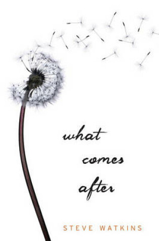Cover of What Comes After